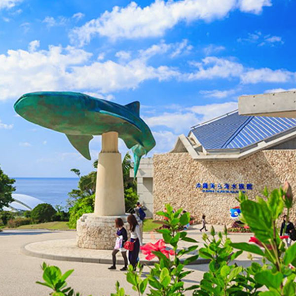 Okinawa Churaumi Aquarium.