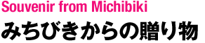 みちびきから見た地球：みちびきからの贈り物 壁紙