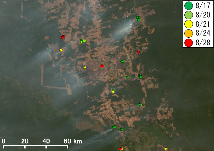（b）: アマゾン中央部 (2019年8月17日可視画像)