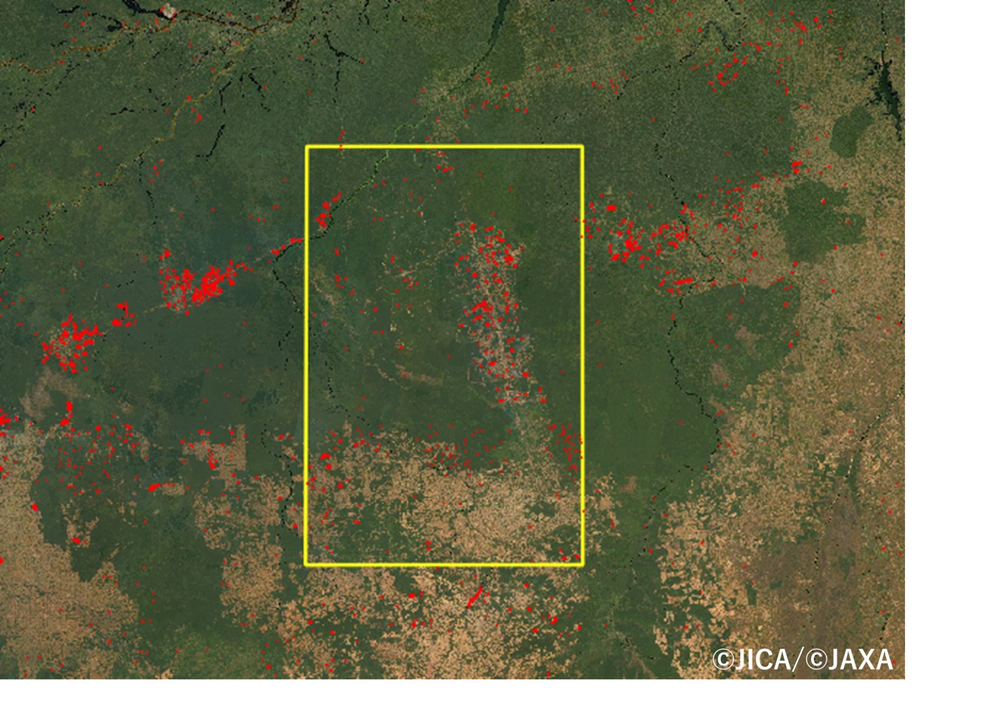図3-2：図3-1の黄色四角付近の拡大で図2-2と概ね同じ範囲を示す（赤プロットはALOS-2による2019年8月12～25日の森林面積減少域の検出結果）