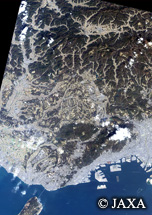 だいちから見た日本の都市 兵庫県：衛星画像