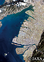 だいちから見た日本の都市 八代市：衛星画像