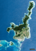 だいちから見た日本の都市 石垣島：衛星画像