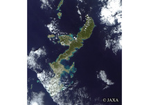 だいちから見た日本の都市 沖縄本島：衛星画像