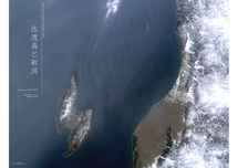 だいちから見た日本の都市 新潟県：衛星画像（ポスター仕上げ）