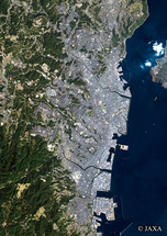 だいちから見た日本の都市 鹿児島市：衛星画像