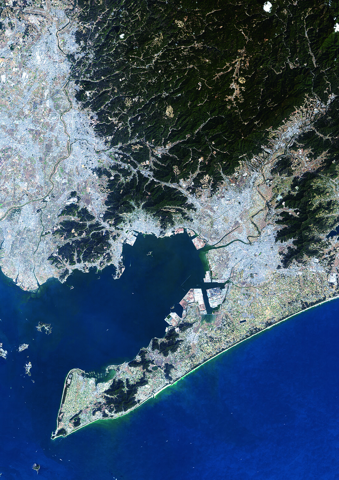 だいちから見た日本の都市 渥美半島と周辺地域:衛星画像